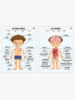 Barbo Toys Body Puslespil Dreng 36 Brikker