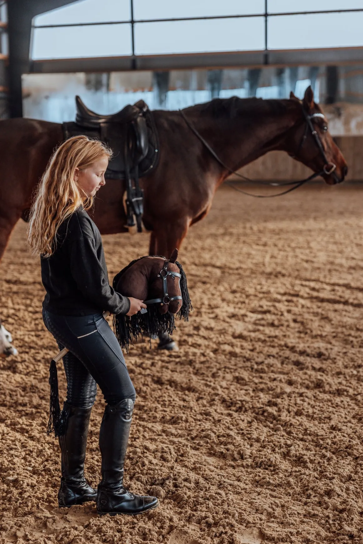 byASTRUP Kæphest Beauty, Brun