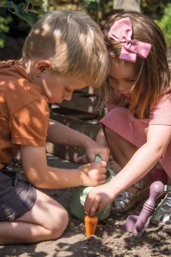 Dantoy GG Plantesæt i Kasse