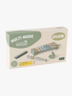 Dantoy Musiksæt Wooden In Gift Box