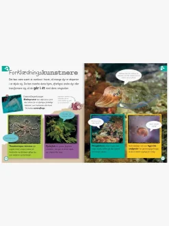 Havet - Leksikon for de yngste