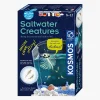 Kosmos Fun Science Eksperimentkasse Saltwater Creature