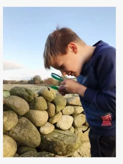 Liniex Explore Opdagelsessæt