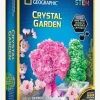 National Geographic Crystal Garden Eksperimentsæt