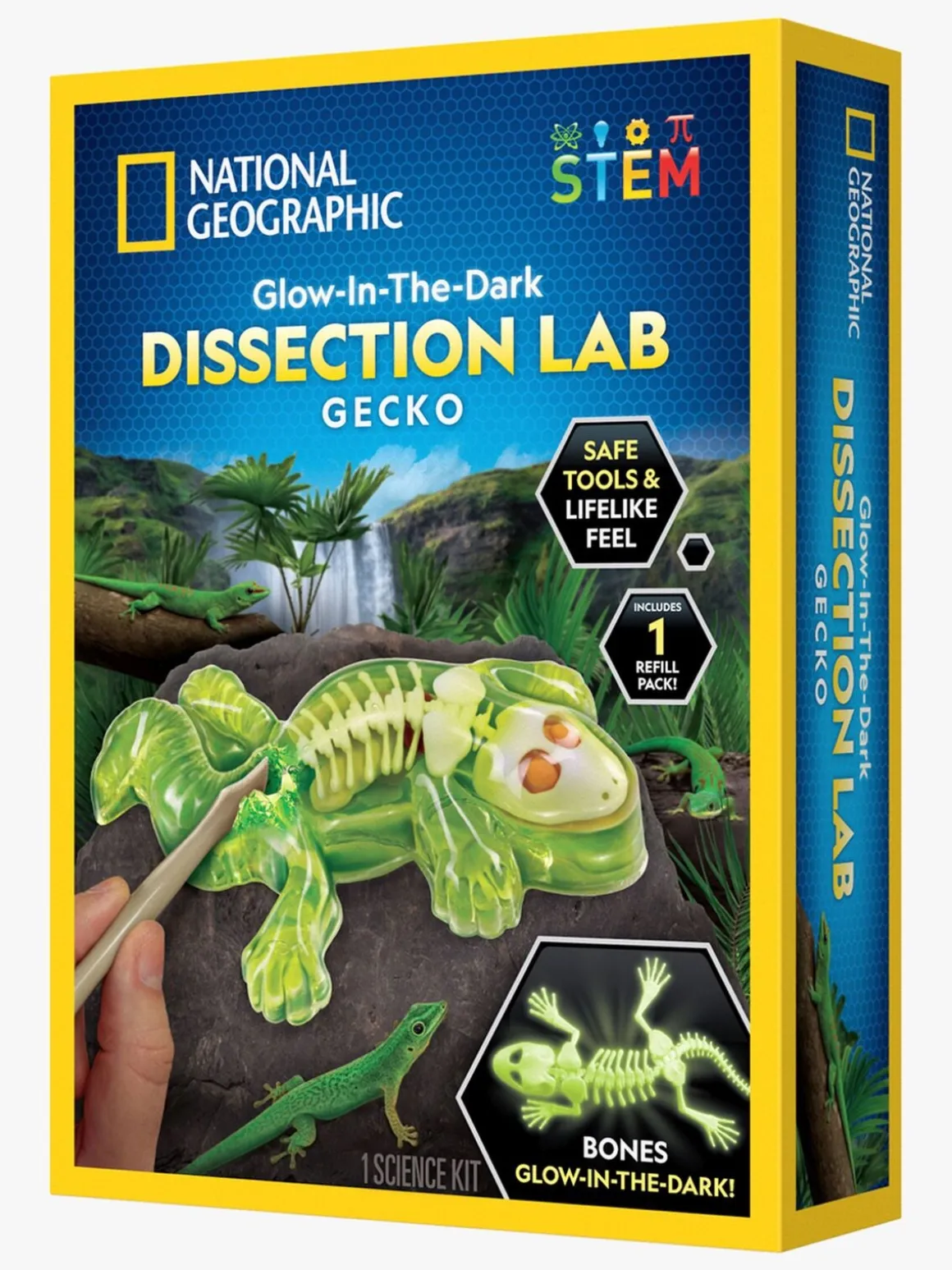 National Geographic Gecko Laboratorie-dissektionssæt