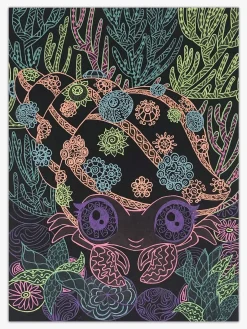 Nebulous Stars Malebog Coralia