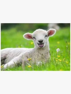 Ravensburger Puslespil Bondegårdsdyr 2x12 Brikker