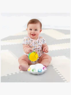 Skip Hop Explore&More Kravlelegetøj, Bi