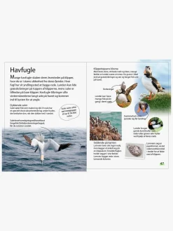 Ud i naturen - Fugle