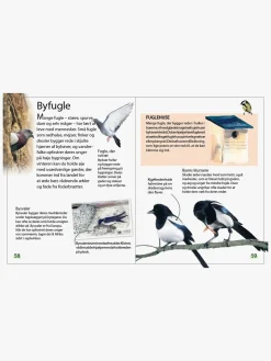 Ud i naturen - Fugle